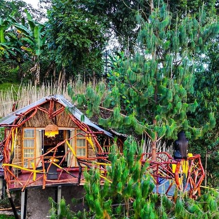 Nidos De Pajaros Hotel Gigante ภายนอก รูปภาพ