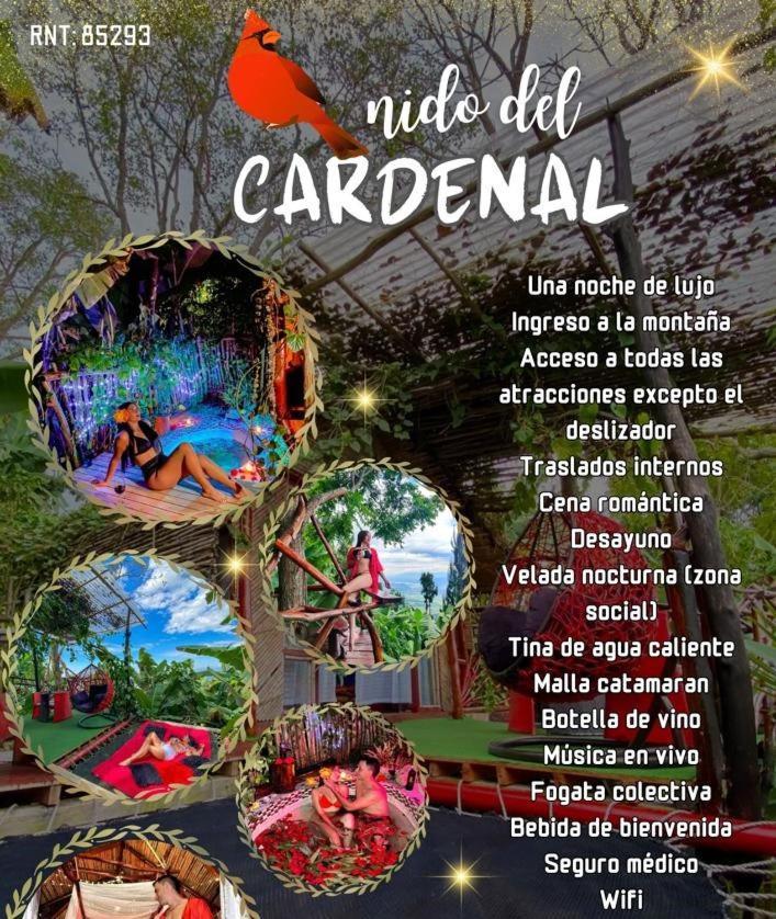 Nidos De Pajaros Hotel Gigante ภายนอก รูปภาพ